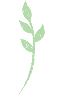 雅培 Eleva Organic 1 號